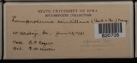 Image Associated With the Occurence